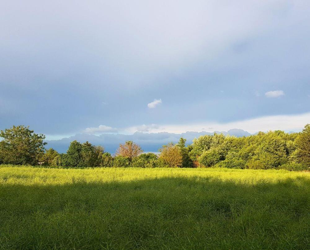 Apartmán Dioliget Ohid Exteriér fotografie