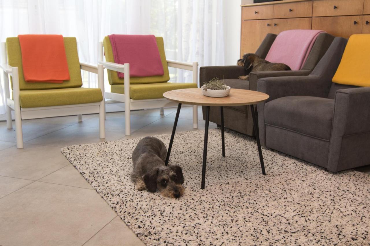 Apartmán Dioliget Ohid Exteriér fotografie