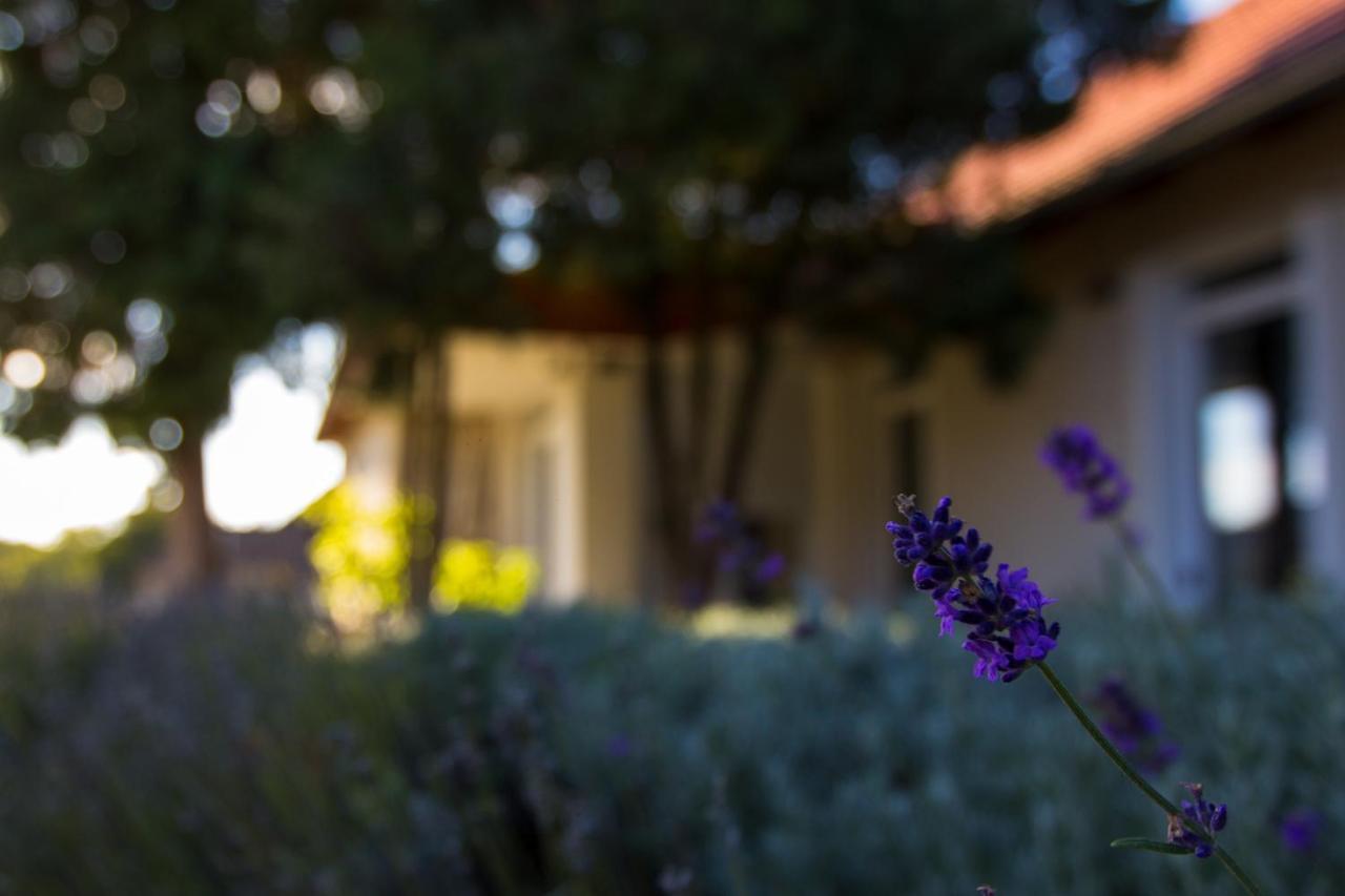 Apartmán Dioliget Ohid Exteriér fotografie