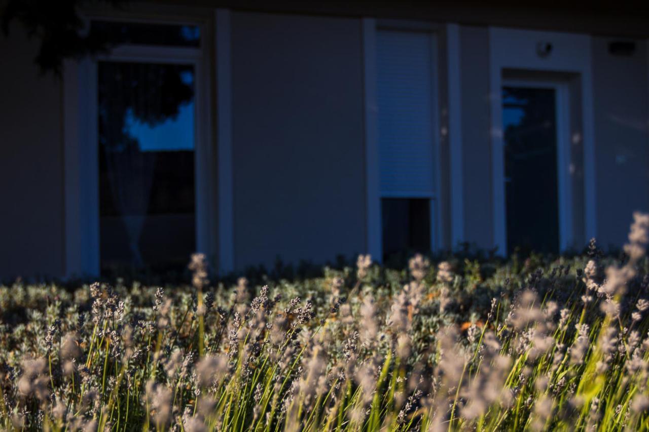 Apartmán Dioliget Ohid Exteriér fotografie