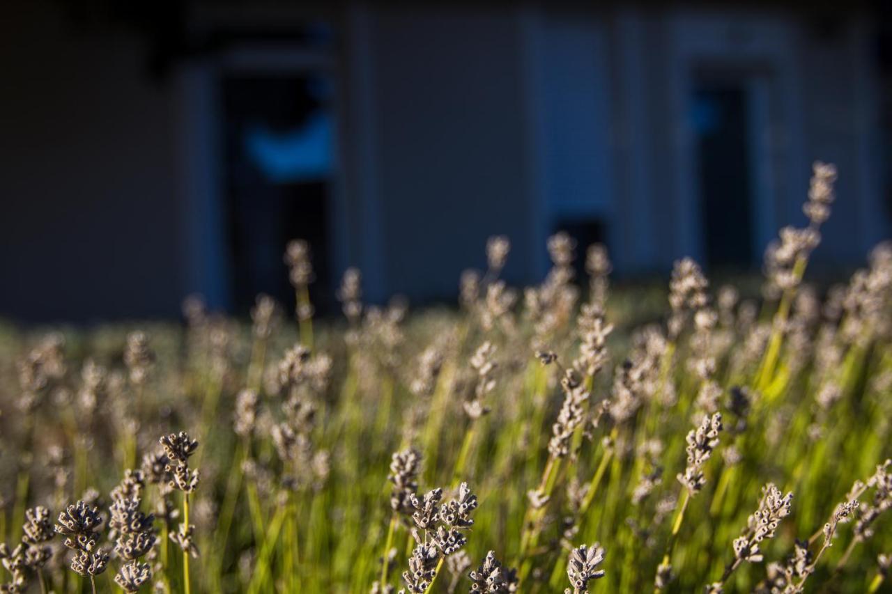 Apartmán Dioliget Ohid Exteriér fotografie